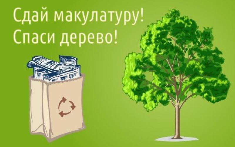 Акция «Собери макулатуру – сохрани дерево!»