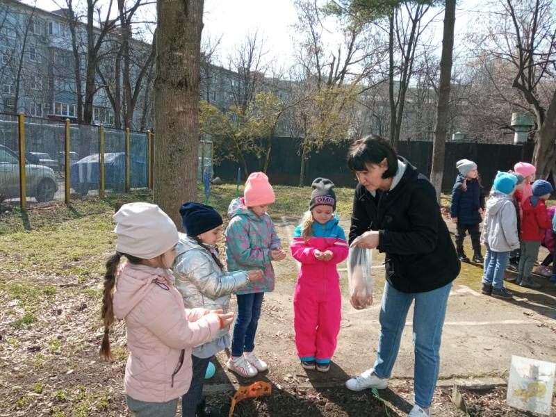 Огород в детском саду