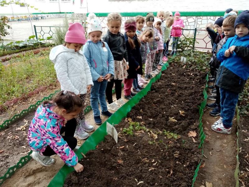 Огород в детском саду
