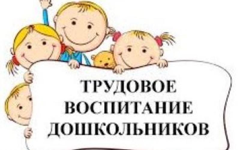 Трудовое воспитание